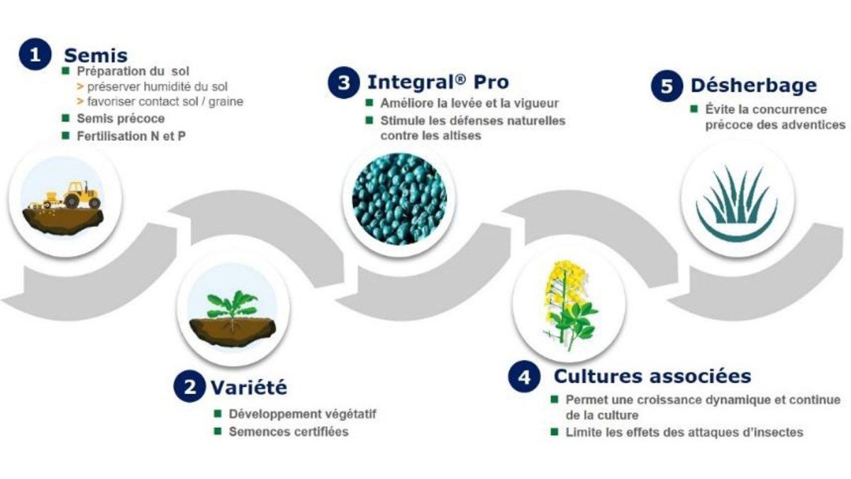 Accompagner Les Agriculteurs Dans La Transition Agroécologique