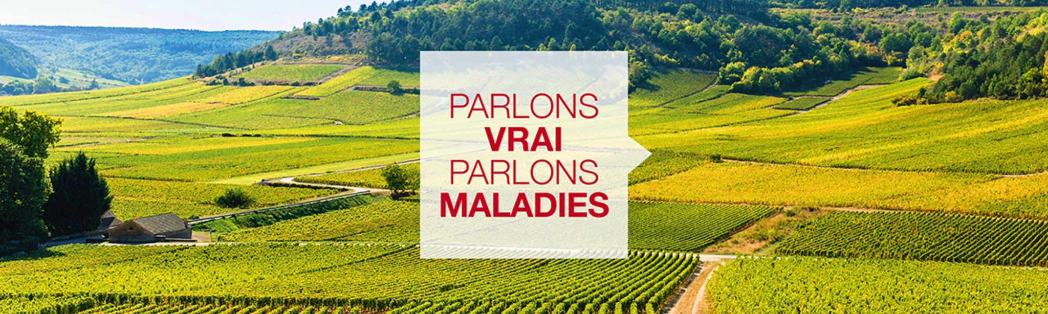 parlons vrai parlons maladies