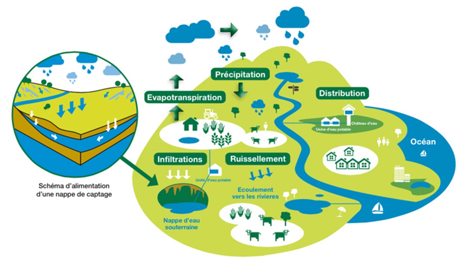 étapes du cycle des eaux souterraines