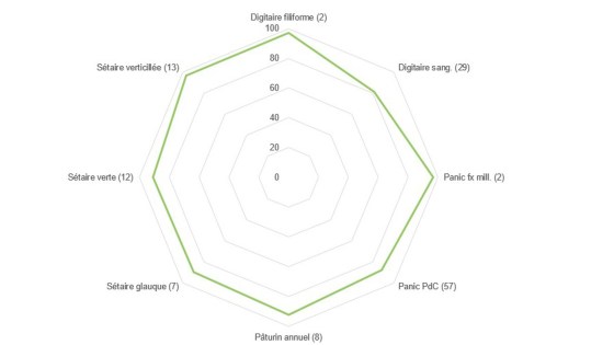 efficacité isard sur psd