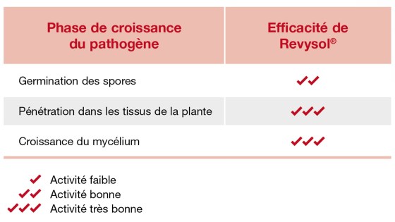 revyvit favorise l'organisation des chantiers