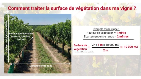 Surface de végétation 