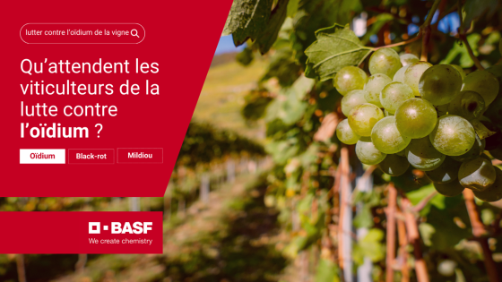 Des vignerons nous confient leurs attentes.