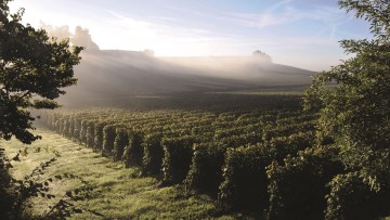 Mieux se protéger grâce aux itinéraires agroécologiques